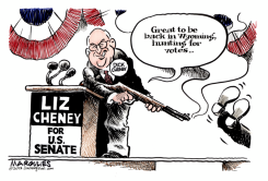 LIZ CHENEY FOR US SENATE  by Jimmy Margulies