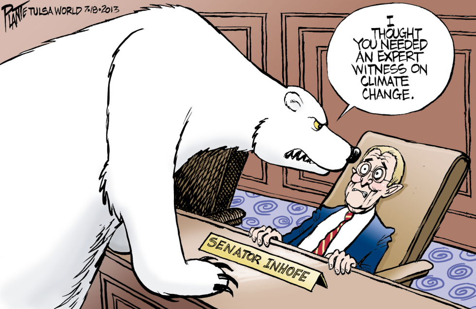 Expert Witness