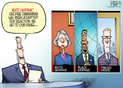 ZIMMERMAN AND RACE  by Nate Beeler