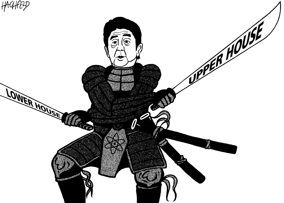 Shinzo Abe after election