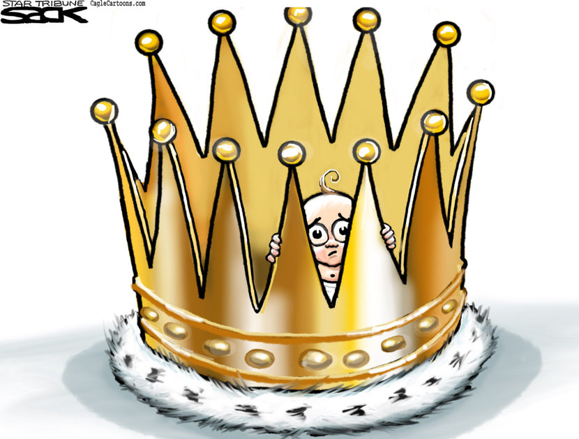 Baby Crowning COLOR