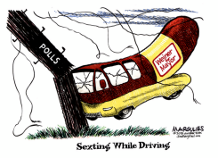 WEINER POLLS by Jimmy Margulies