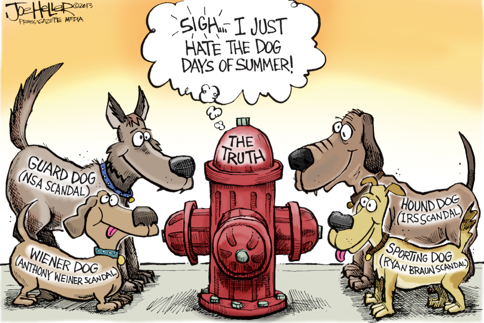 Dog days