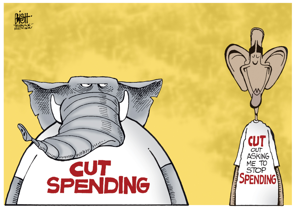 GOVERNMENT SPENDING, COLOR