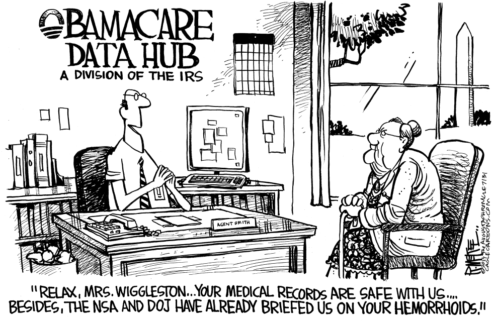  OBAMACARE DATA HUB by Rick McKee