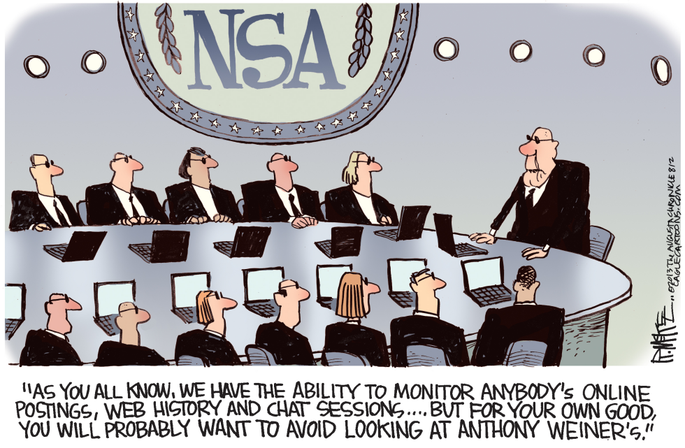 NSA Weiner Color