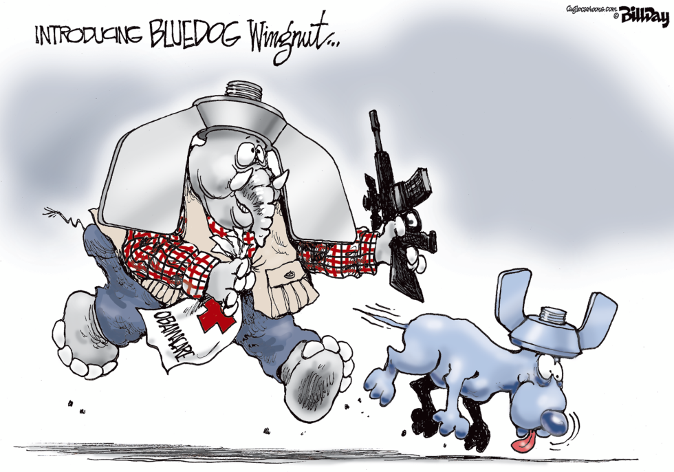 BLUEDOG WINGNUT  color