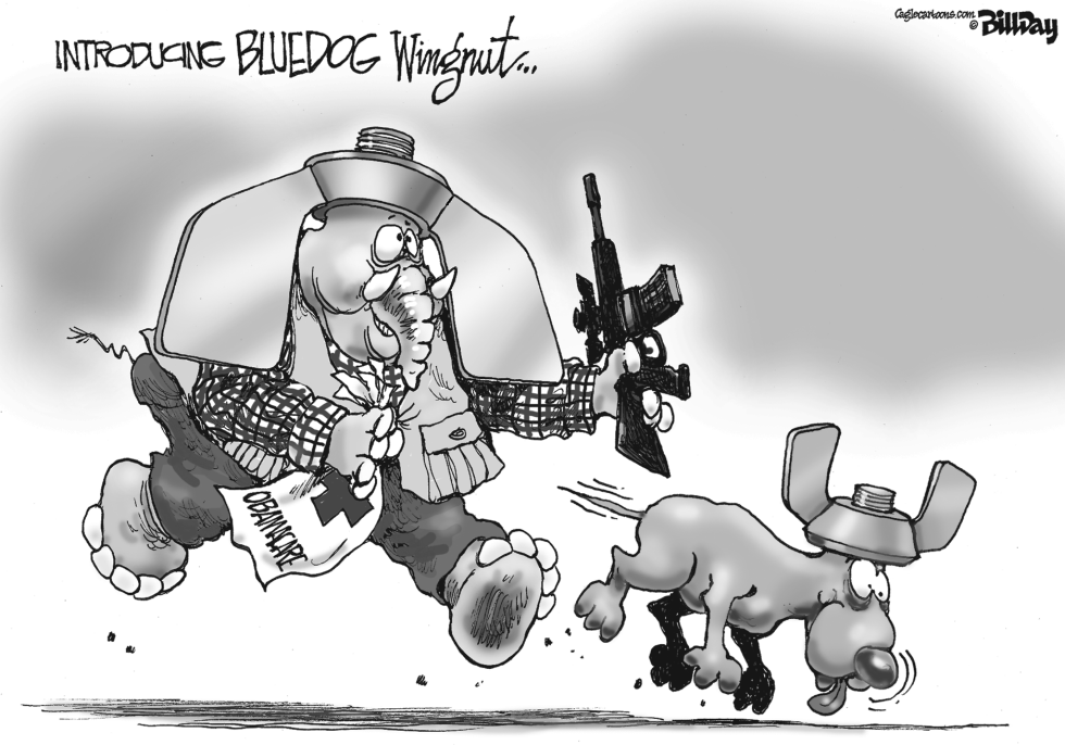 BLUEDOG WINGNUT