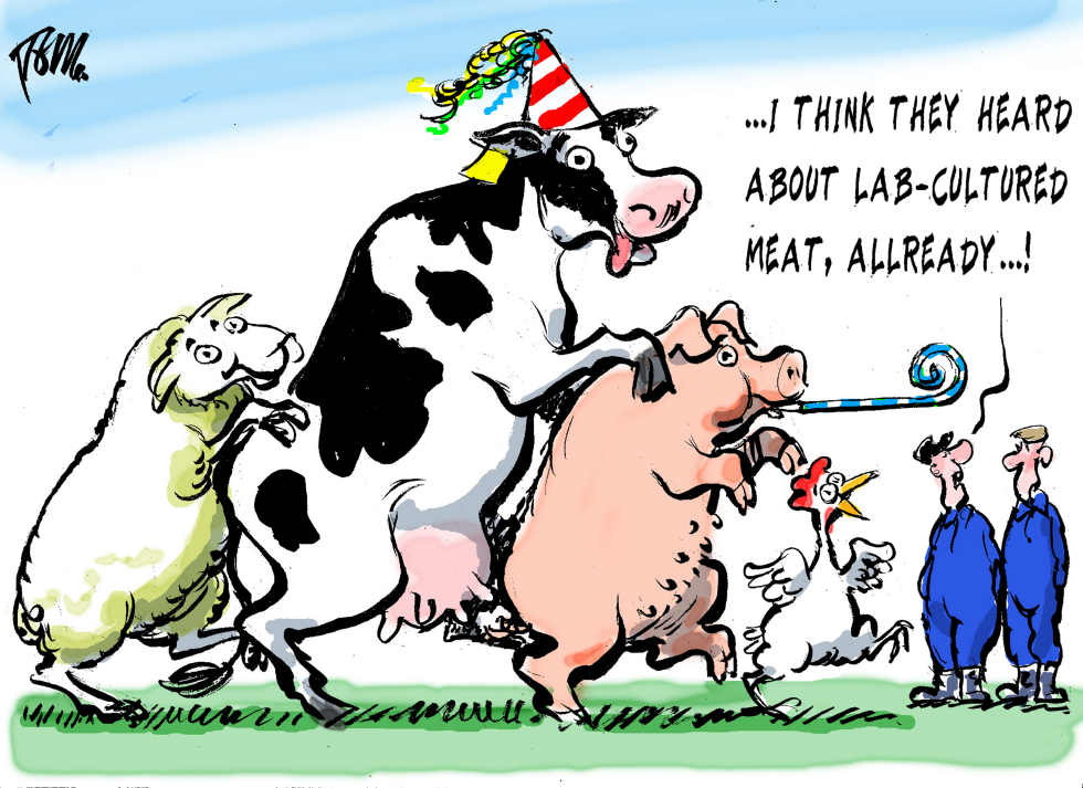 Lab-cultured meat