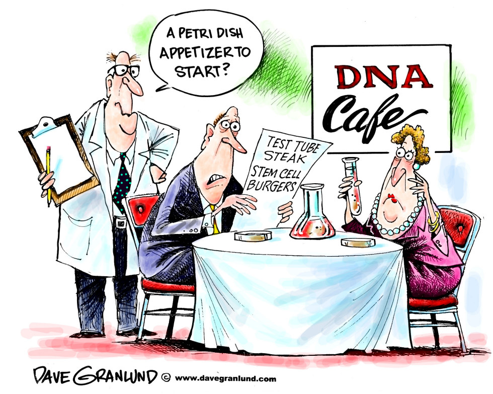 Stem cell burgers