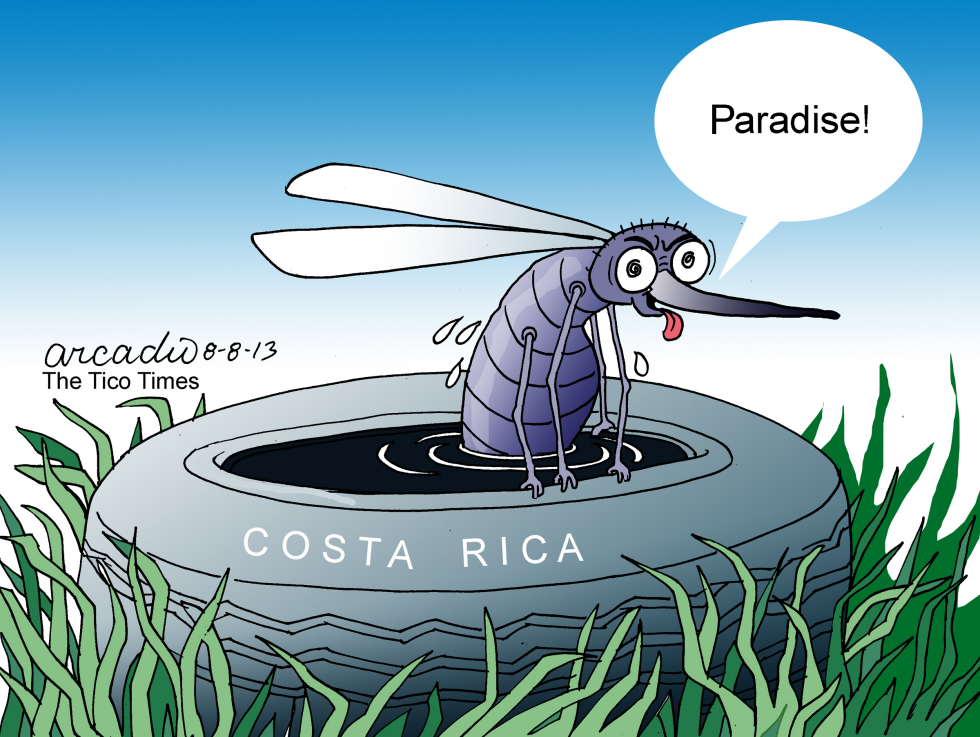  DENGUE EN COSTA RICA by Arcadio Esquivel