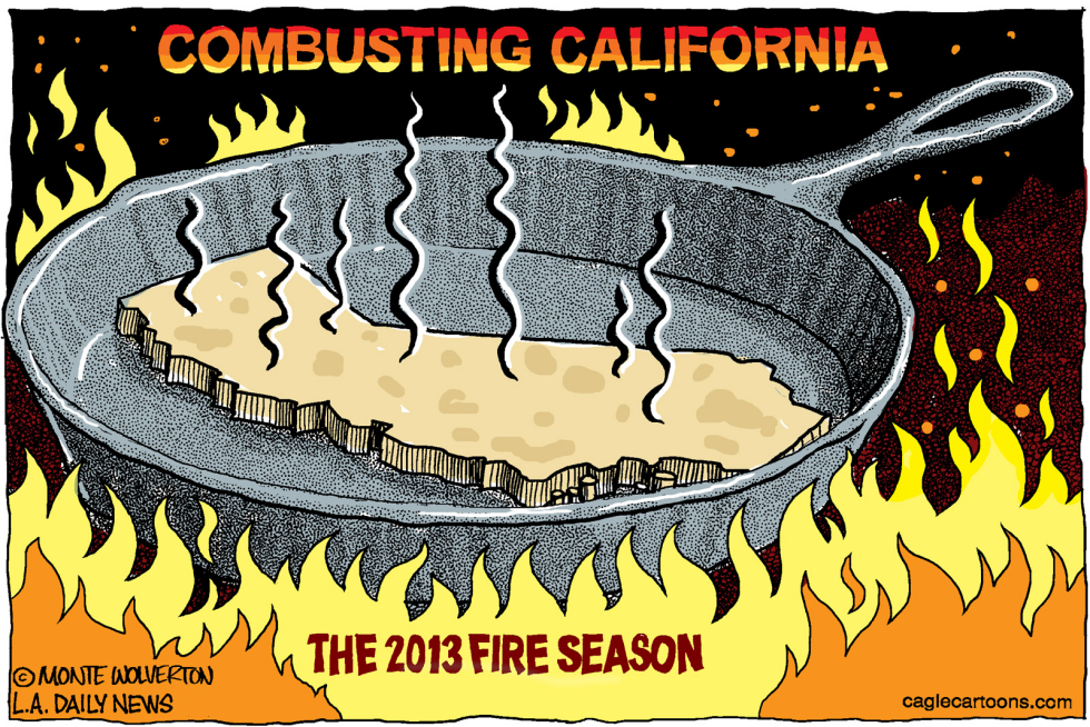 LOCAL-CA 2013 Fire Season COLOR