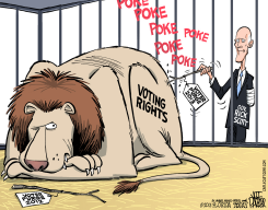 LOCAL FL RICK SCOTT VOTER PURGE  by Jeff Parker