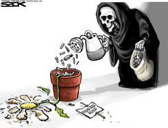 PRIMAVER ROTA /  by Steve Sack