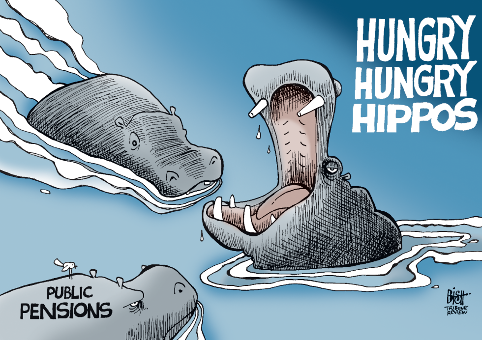HUNGRY PENSIONS, COLOR
