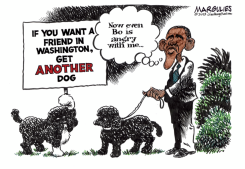 OBAMA DOGS BO AND SUNNY by Jimmy Margulies