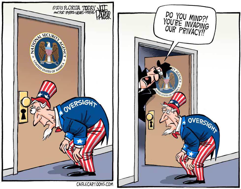 NSA Oversight Privacy COLOR