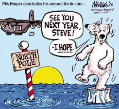 ARCTIC TOUR by Steve Nease