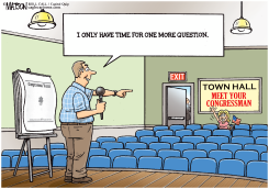 QUIET TOWN HALL SUMMER by R.J. Matson