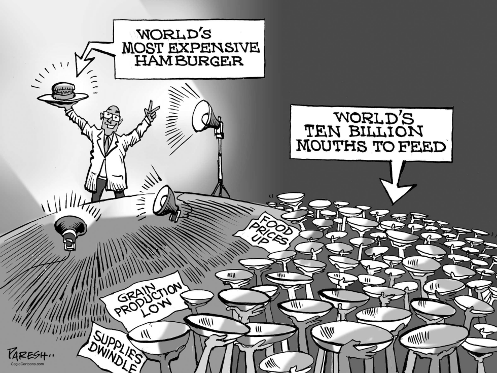 World Food problem