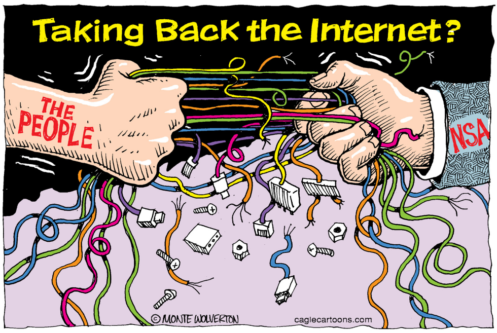  TAKING BACK THE INTERNET by Wolverton