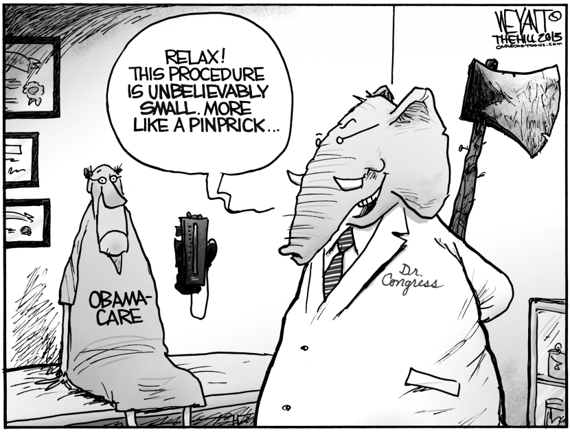 Congressional Malpractice