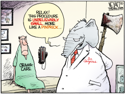 CONGRESSIONAL MALPRACTICE  by Christopher Weyant