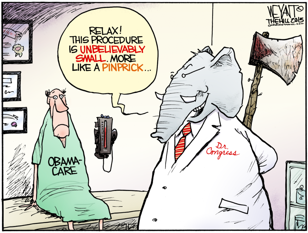 Congressional Malpractice COLOR
