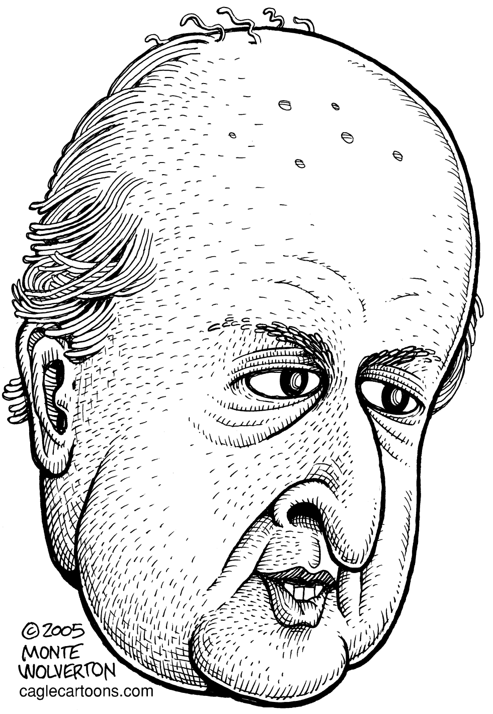  JOHN NEGROPONTE by Wolverton