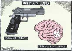 NAVY YARD SHOOTER MENTALLY ILL by Bob Englehart