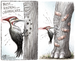 REPEAL OBAMACARE  by Adam Zyglis