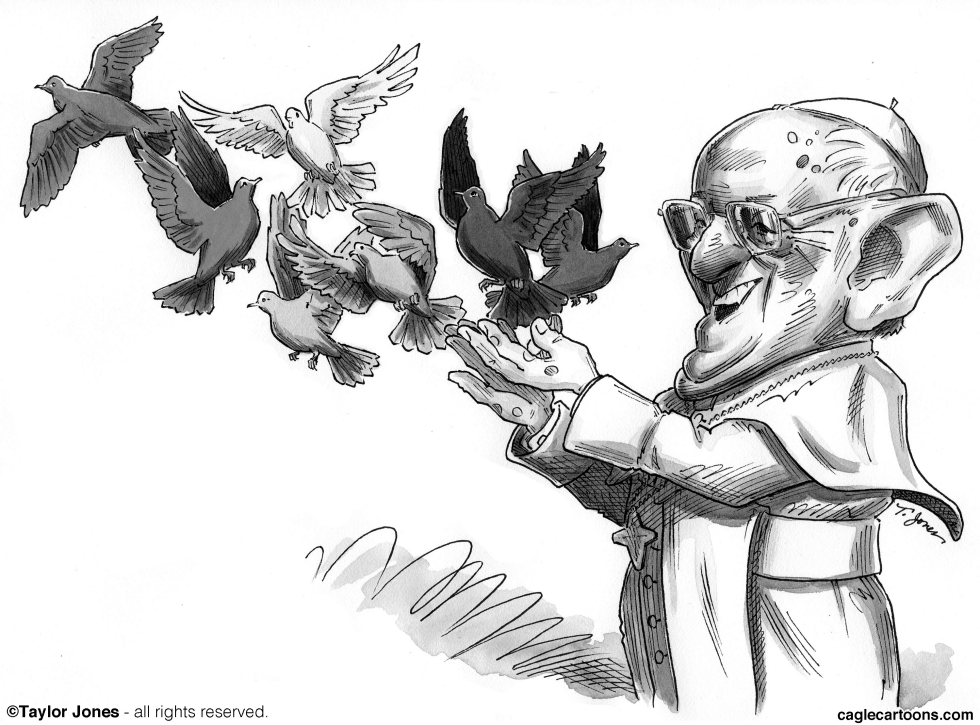 Pope Francis tends Flock