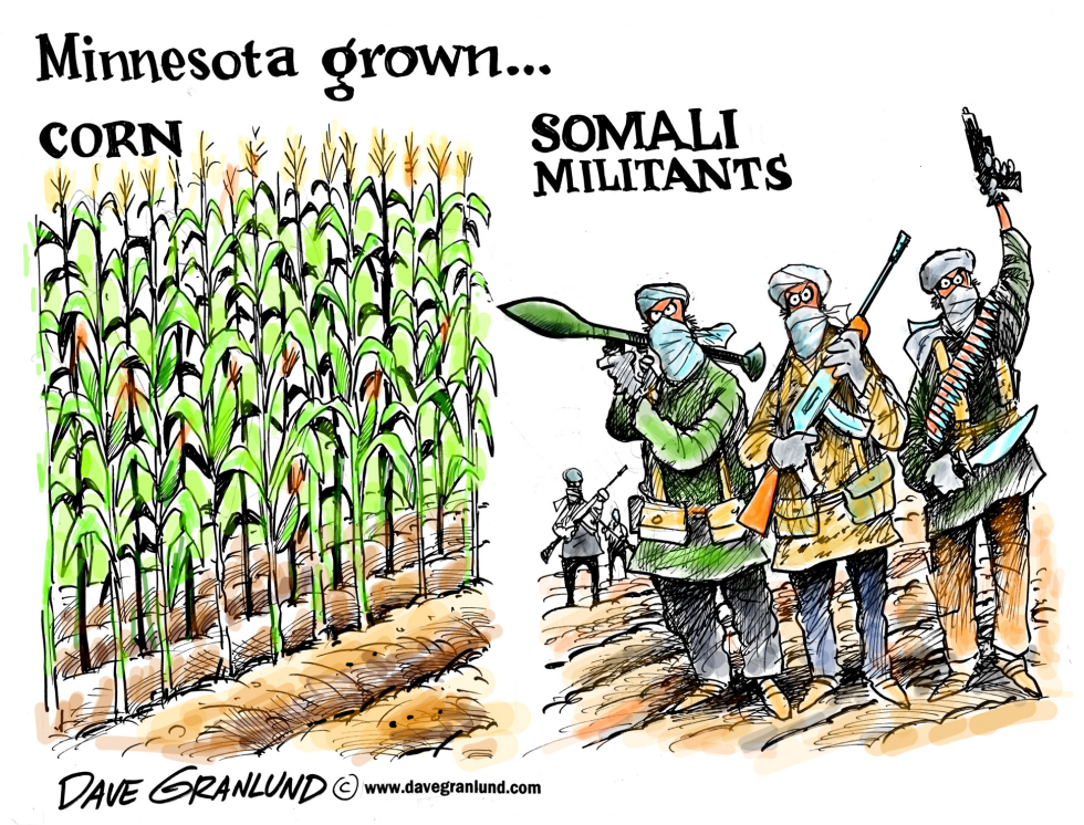  MINNESOTA GROWN MILITANTS by Dave Granlund