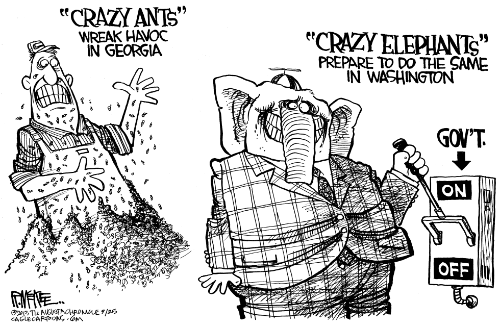 Crazy Elephants