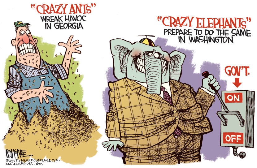 Crazy Elephants COLOR