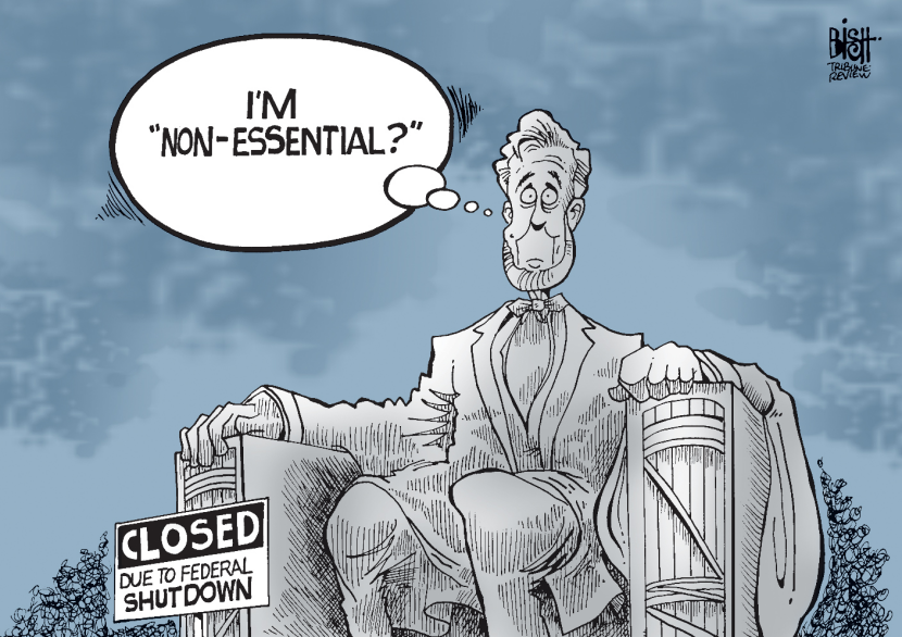 NONESSENTIAL SHUTDOWNS, COLOR