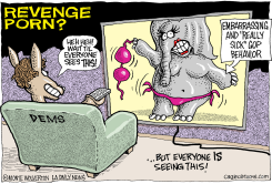 LOCAL-CA GOP REVENGE PORN by Monte Wolverton