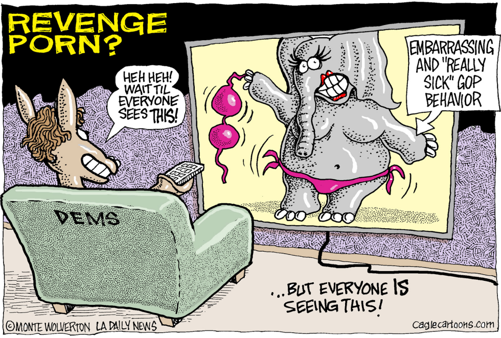  LOCAL-CA GOP REVENGE PORN by Wolverton