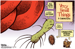 CONGRESSIONAL APPROVAL  by Rick McKee