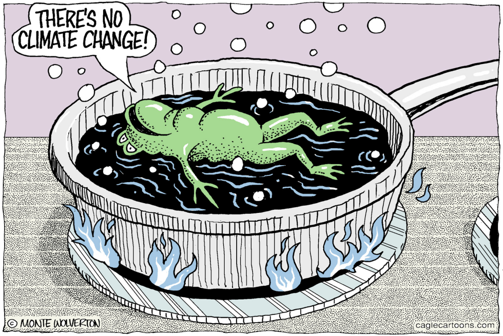 Climate Change Denying Frog COLOR