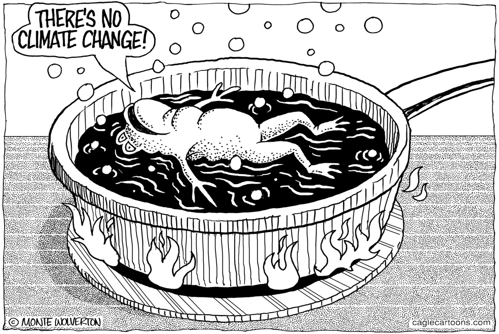 Climate Change Denying Frog