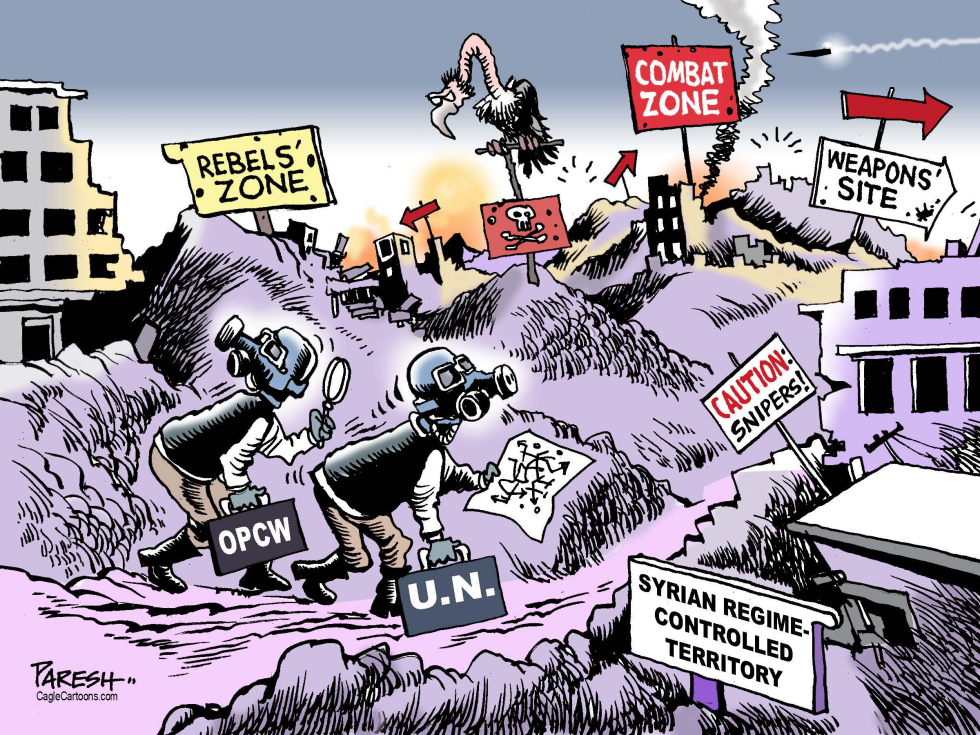  INSPECTION IN SYRIA by Paresh Nath