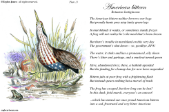 GOVERNMENT SHUTDOWN AFFECTS WILDLIFE - by Taylor Jones