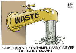 GOVERNMENT WASTE,  by Randy Bish