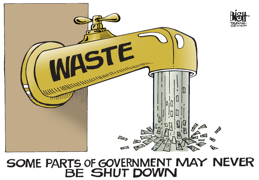 GOVERNMENT WASTE, COLOR