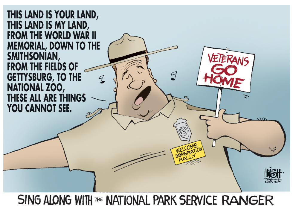 SHUTDOWN SINGALONG, COLOR