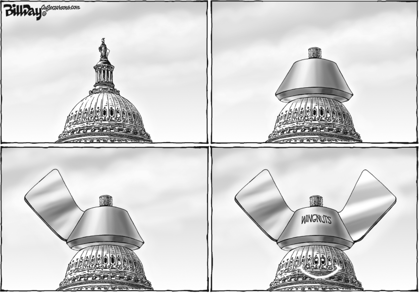 WINGNUTS