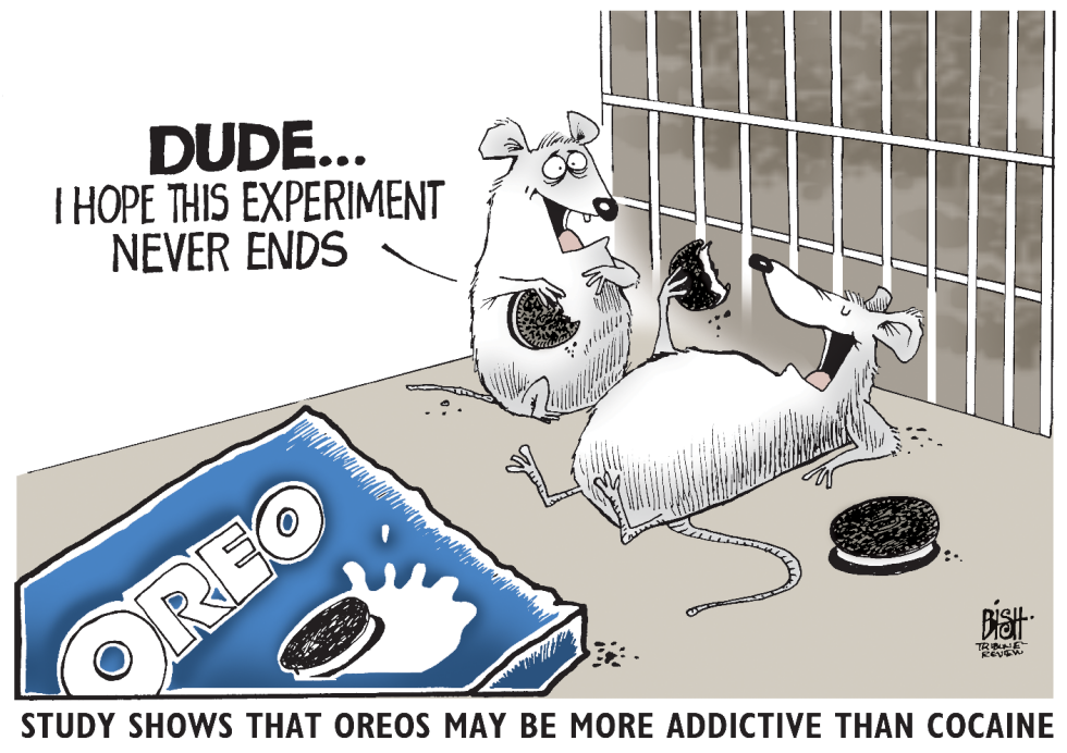 ADDICTED TO OREOS, COLOR