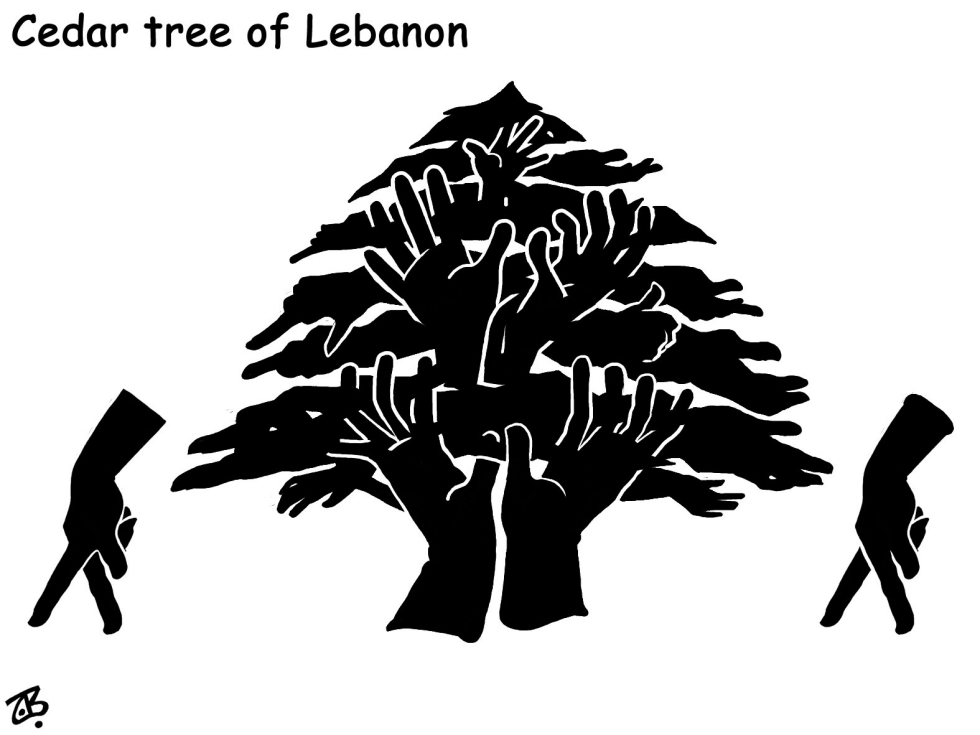 cedar tree of lebanon