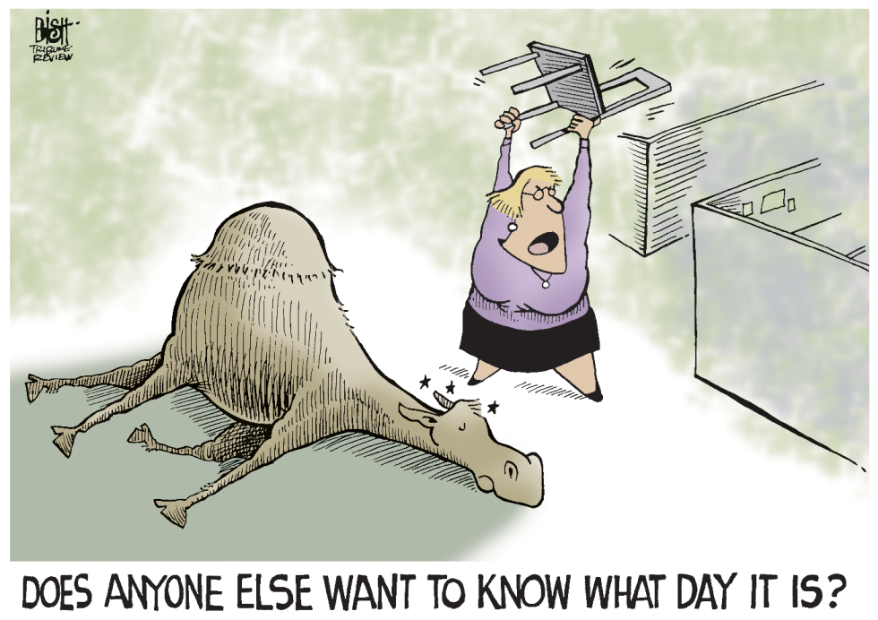 HUMP DAY, COLOR